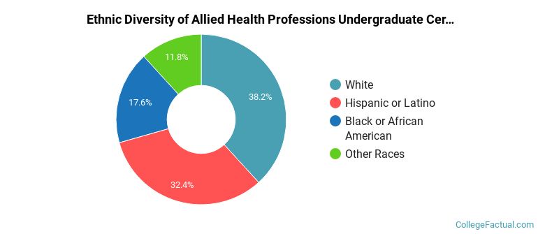 Ethnic diversity of Allied Health Professions majors at Valencia College
