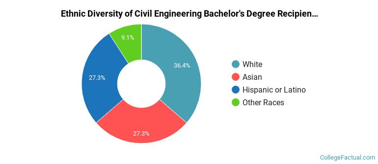 Ethnic diversity of Civil Engineering majors at Vanderbilt University