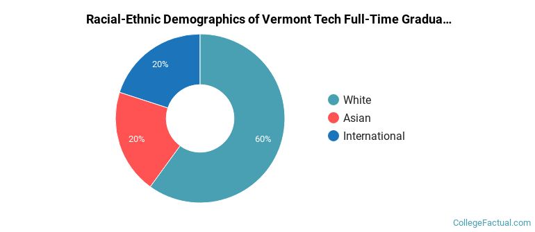 Vermont State University Graduate Students Racial-Ethnic Diversity Pie Chart