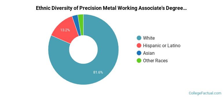Ethnic diversity of Precision Metal Working majors at Vincennes University