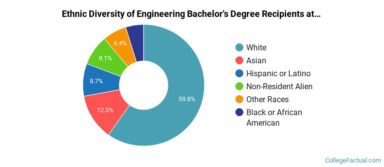 Ethnic diversity of Engineering majors at Virginia Polytechnic Institute and State University