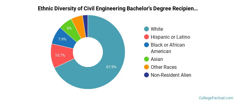 Ethnic diversity of Civil Engineering majors at Virginia Polytechnic Institute and State University