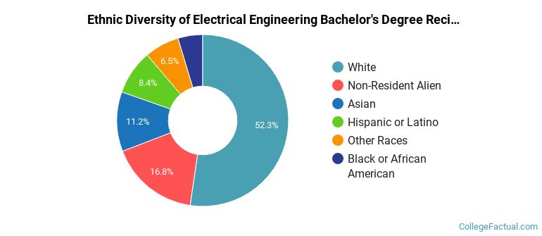 Ethnic diversity of Electrical Engineering majors at Virginia Polytechnic Institute and State University