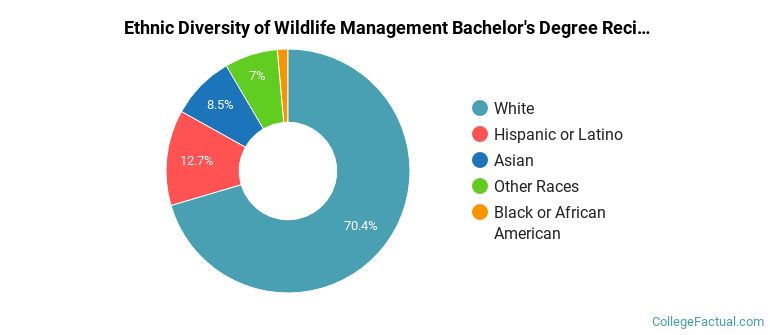 Ethnic diversity of Wildlife Management majors at Virginia Polytechnic Institute and State University