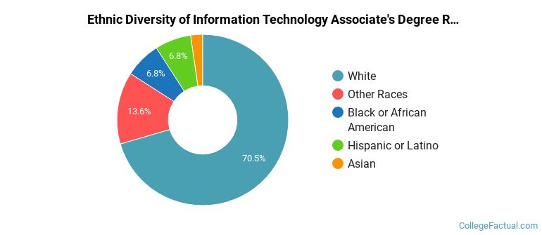 Ethnic diversity of Information Technology majors at Waukesha County Technical College