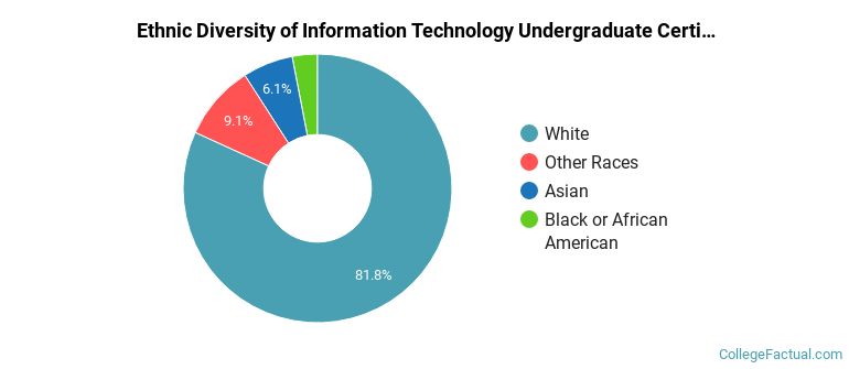 Ethnic diversity of Information Technology majors at Waukesha County Technical College