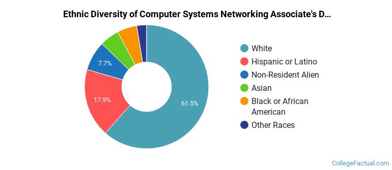 Ethnic diversity of Computer Systems Networking majors at Weber State University