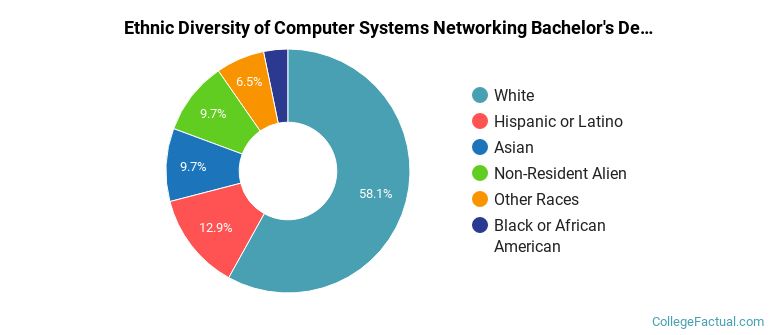 Ethnic diversity of Computer Systems Networking majors at Weber State University