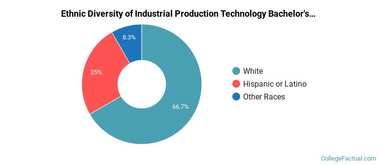 Ethnic diversity of Industrial Production Technology majors at Weber State University