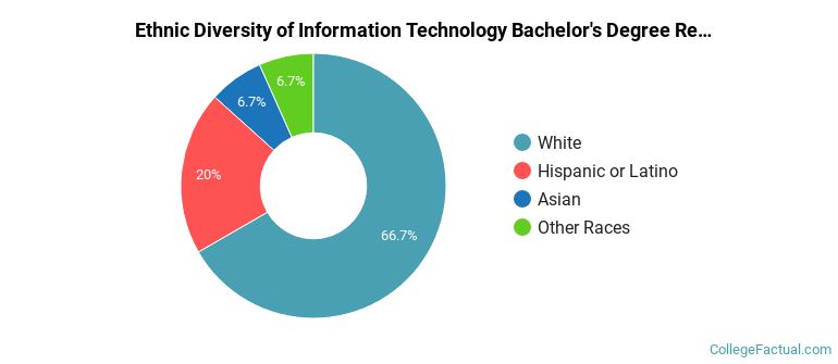 The Undergraduate Information Technology Major at Wentworth Institute ...