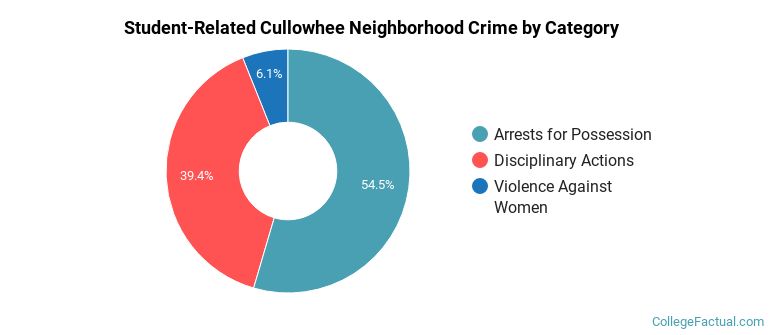 Student-Related Cullowhee Neighborhood Crime by Category