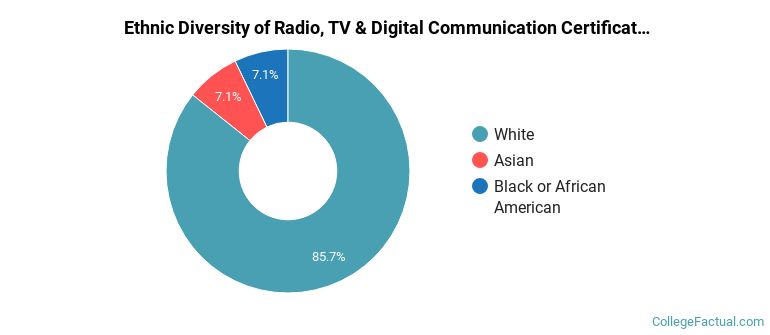 Ethnic diversity of Radio, TV & Digital Communication majors at Western Kentucky University