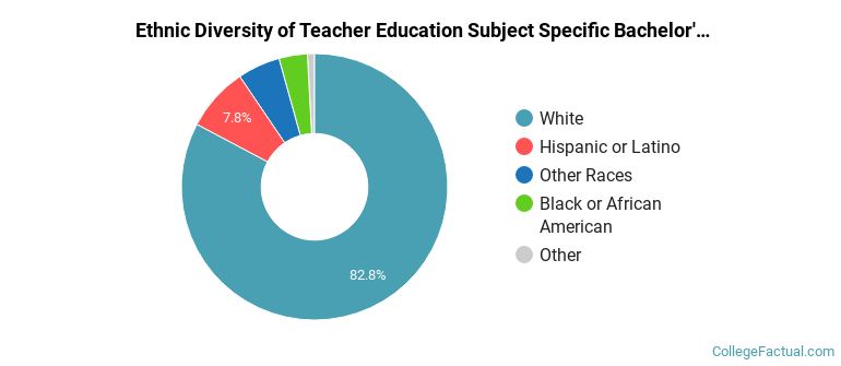 Ethnic diversity of Teacher Education Subject Specific majors at Western Michigan University