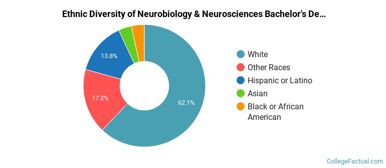 Ethnic diversity of Neurobiology & Neurosciences majors at Western Washington University