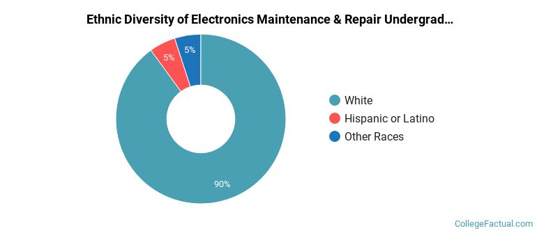 Ethnic diversity of Electronics Maintenance & Repair majors at Western Wyoming Community College