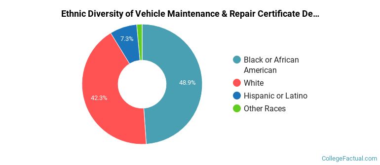 Ethnic diversity of Vehicle Maintenance & Repair majors at Wiregrass Georgia Technical College