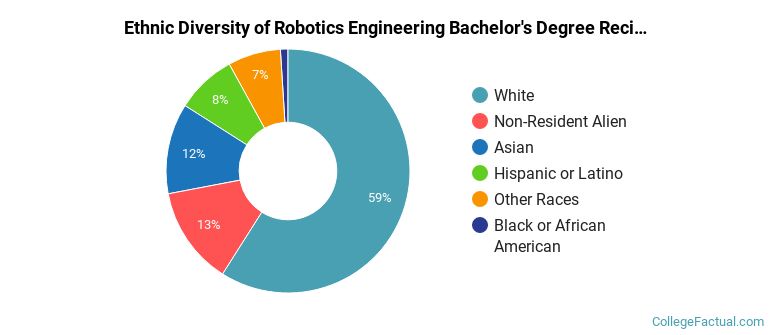 Ethnic diversity of Robotics Engineering majors at Worcester Polytechnic Institute