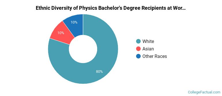 Ethnic diversity of Physics majors at Worcester Polytechnic Institute