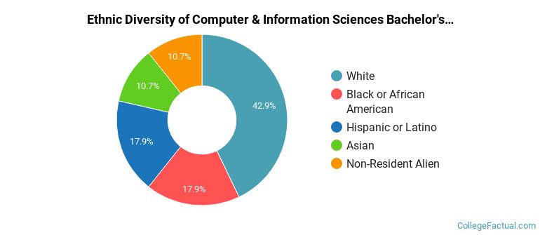 Computer Science Diversity The Undergraduate Computer & Information Sciences Major at Worcester ...