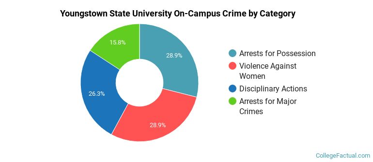 Youngstown State University On-Campus Crime by Category