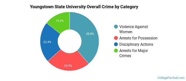 Youngstown State University Overall Crime by Category