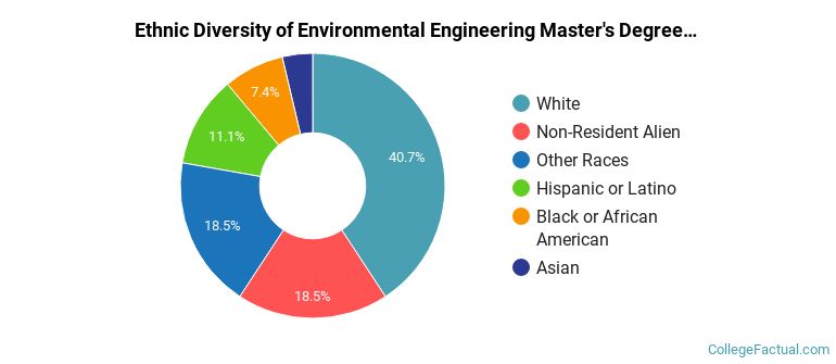 Ethnic diversity of Environmental Engineering majors at Arizona State University Campus Immersion