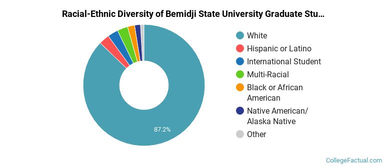 Racial-Ethnic Diversity of Bemidji State University Graduate Students