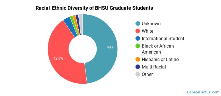 Racial-Ethnic Diversity of BHSU Graduate Students