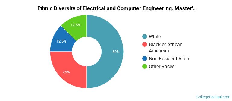 Ethnic diversity of Electrical and Computer Engineering. majors at Boise State University