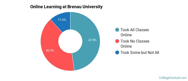 Online Learning at Brenau University