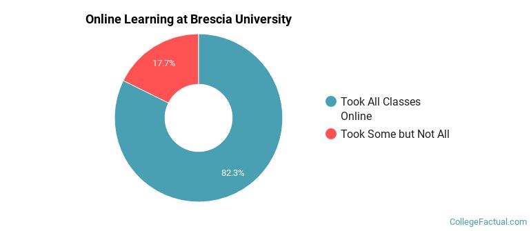 Online Learning at Brescia University