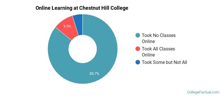 Online Learning at Chestnut Hill College