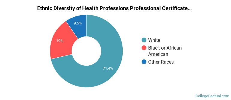 Ethnic diversity of Health Professions majors at Clarkson College