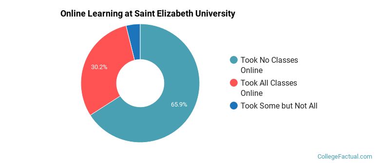 Online Learning at Saint Elizabeth University