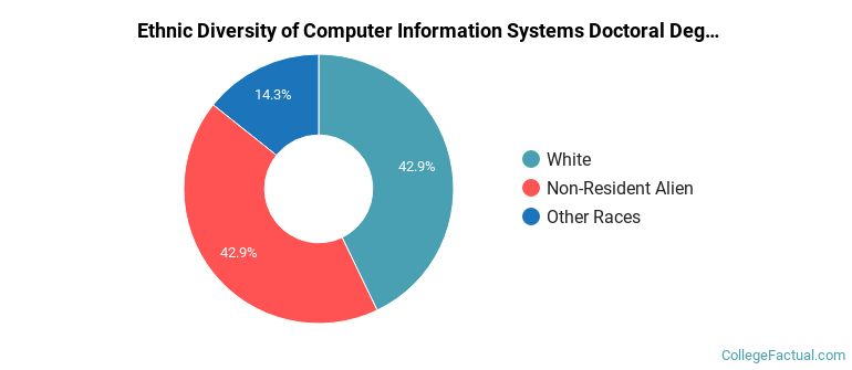 Ethnic diversity of Computer Information Systems majors at Colorado State University-Fort Collins