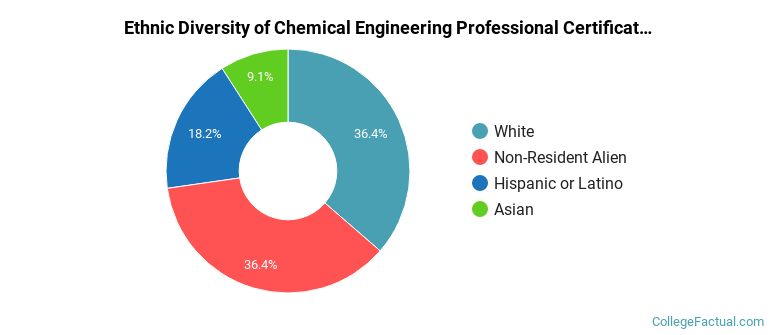 Ethnic diversity of Chemical Engineering majors at Columbia University in the City of New York