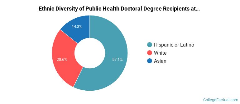 Ethnic diversity of Public Health majors at CUNY Graduate School and University Center