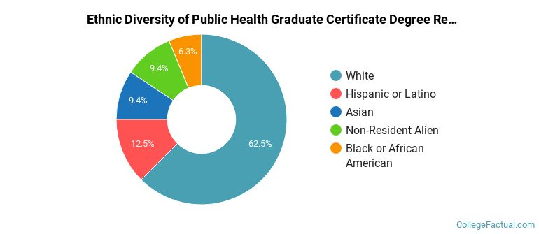 Ethnic diversity of Public Health majors at CUNY Graduate School and University Center