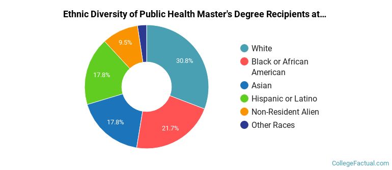 Ethnic diversity of Public Health majors at CUNY Graduate School and University Center