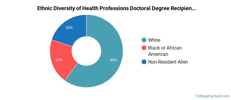 Ethnic diversity of Health Professions majors at D'Youville University