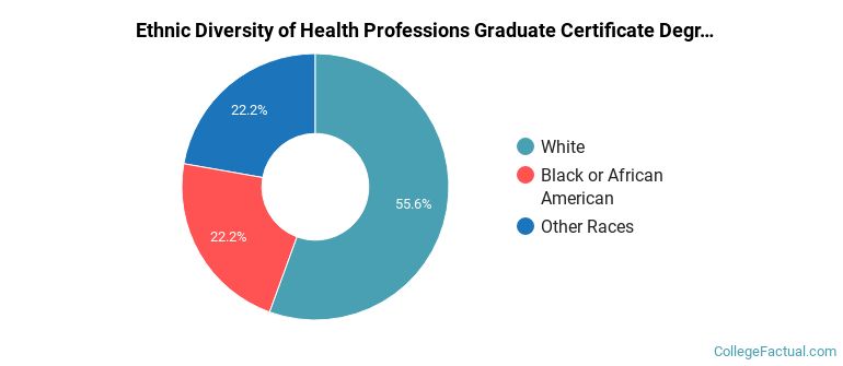 Ethnic diversity of Health Professions majors at D'Youville University