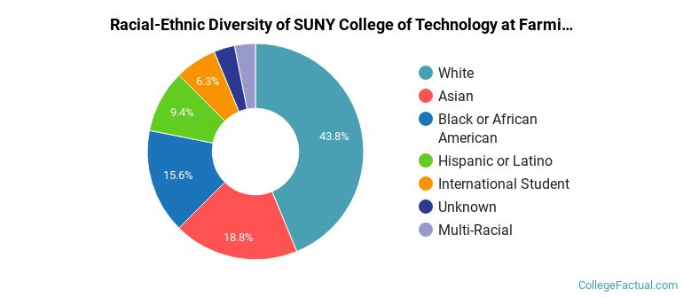 Racial-Ethnic Diversity of SUNY College of Technology at Farmingdale Graduate Students