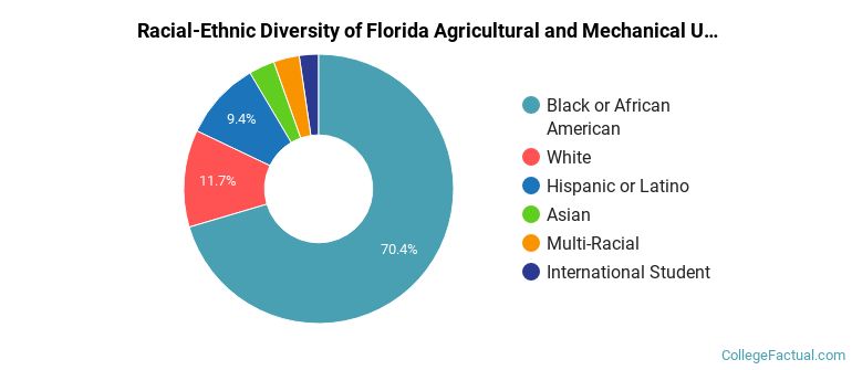 Racial-Ethnic Diversity of Florida Agricultural and Mechanical University Graduate Students