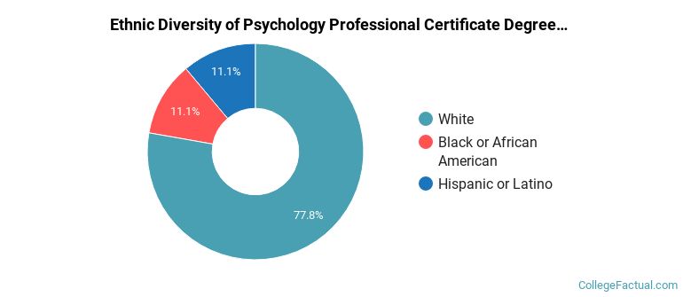 Ethnic diversity of Psychology majors at Hofstra University
