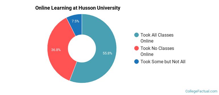 Online Learning at Husson University