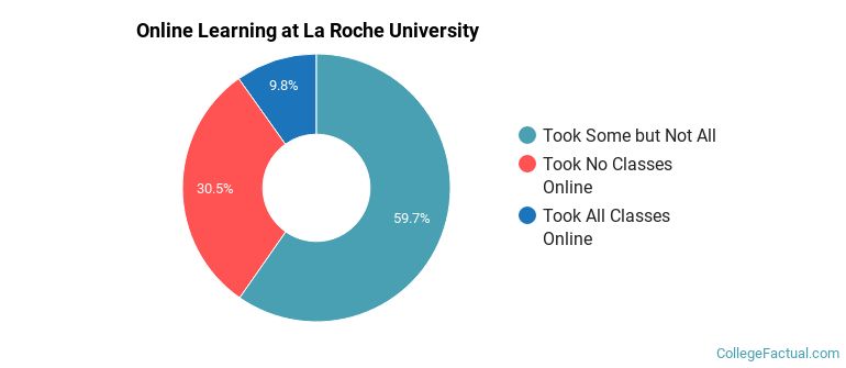 Online Learning at La Roche University