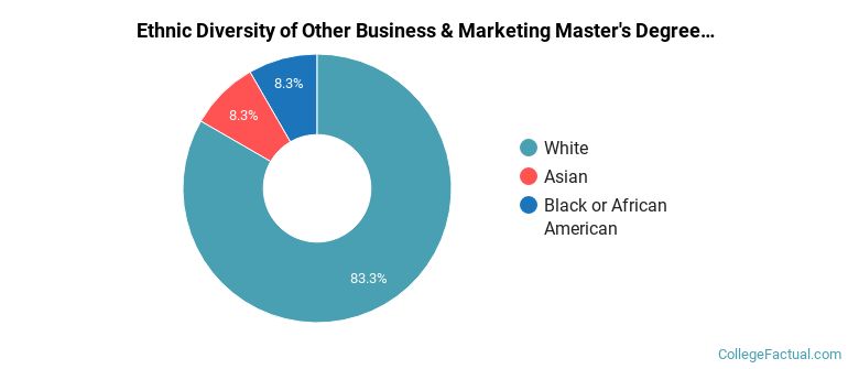 Ethnic diversity of Other Business & Marketing majors at Lincoln Memorial University