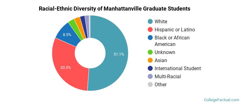 Racial-Ethnic Diversity of Manhattanville Graduate Students
