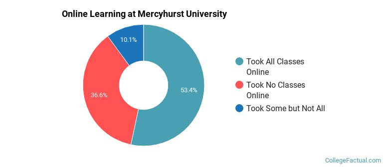 Online Learning at Mercyhurst University