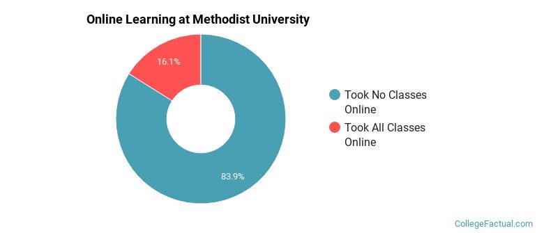 Online Learning at Methodist University